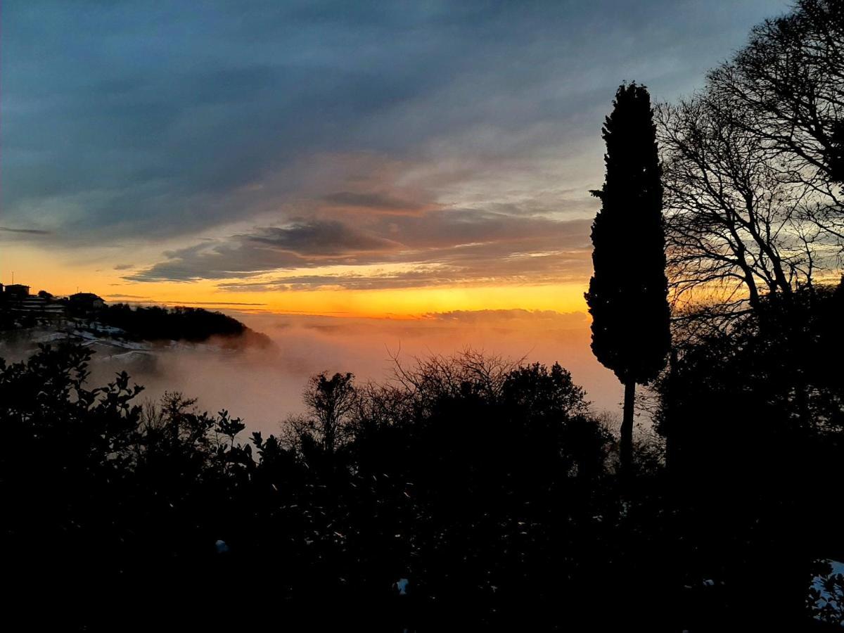 Antica Corte Panego